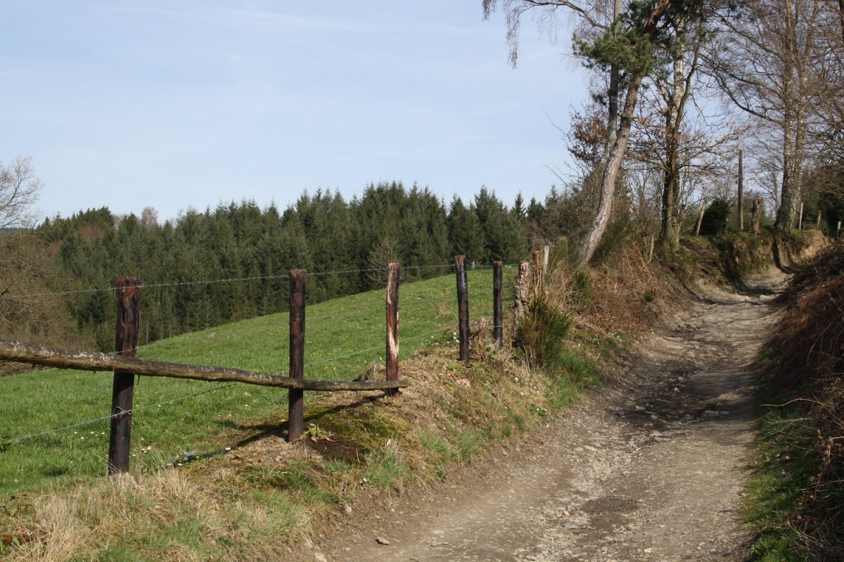 Article : Stoumont, en transition ?