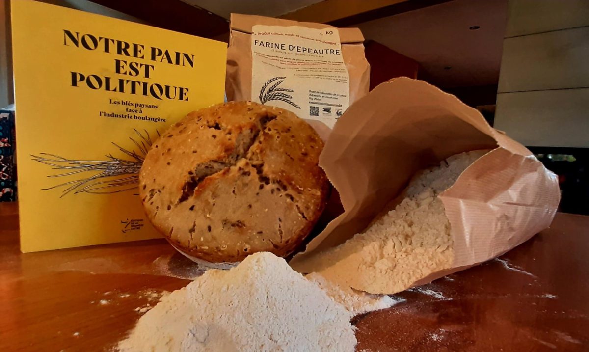 Article : 26 centimètres de circonférence