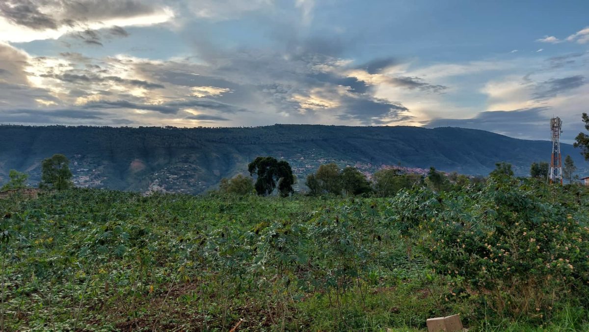 Article : 1. Ce que je ne sais pas