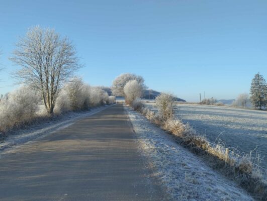 Article : Et croire au retour du printemps…